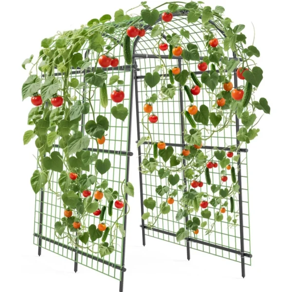 Extra Tall 7.5FT Garden Arch Trellis